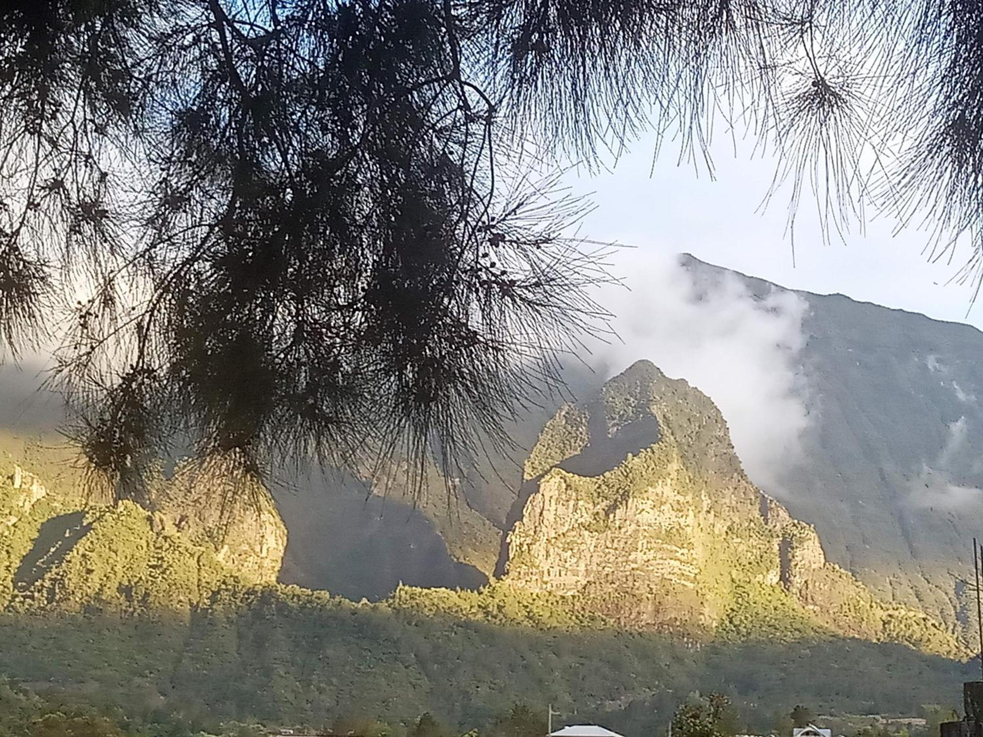 Au Coeur Du Paradis Cilaos Eksteriør bilde
